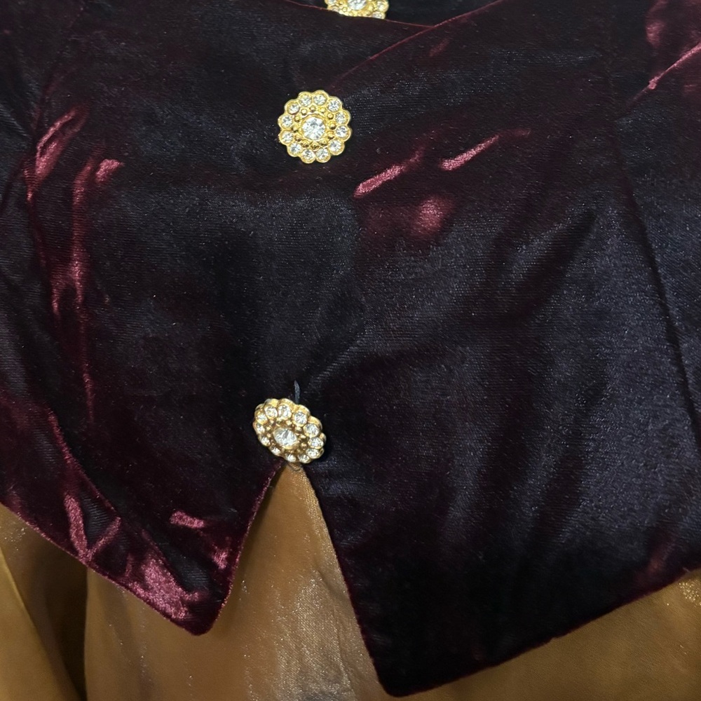 Dave & Johnny Vintage Velvet and Gold Dress with Sparkle Buttons Full Length - Picture 6 of 6
